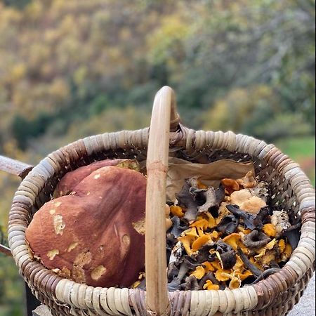 Domaine Le Verdier Saint-Michel-de-Dèze 外观 照片