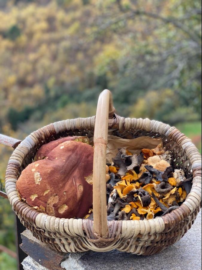 Domaine Le Verdier Saint-Michel-de-Dèze 外观 照片